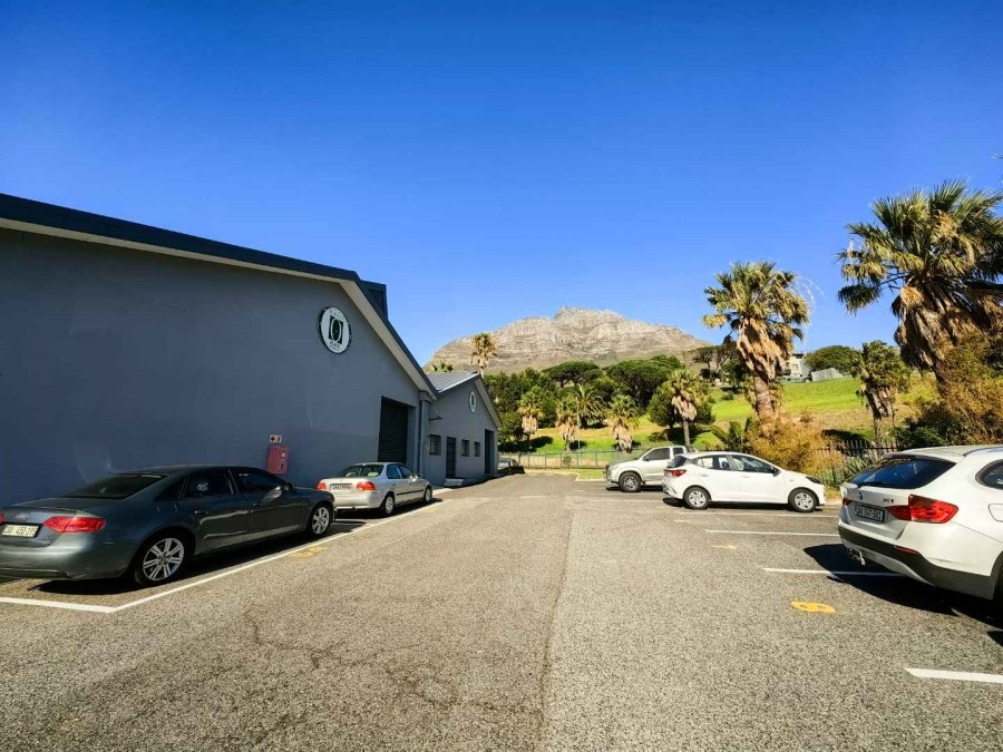To Let commercial Property for Rent in University Estate Western Cape